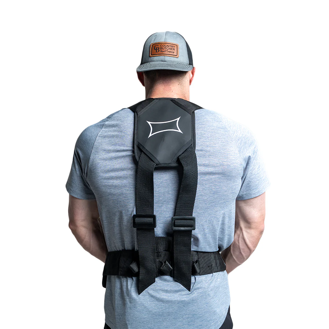 Sled Harness - Image 3