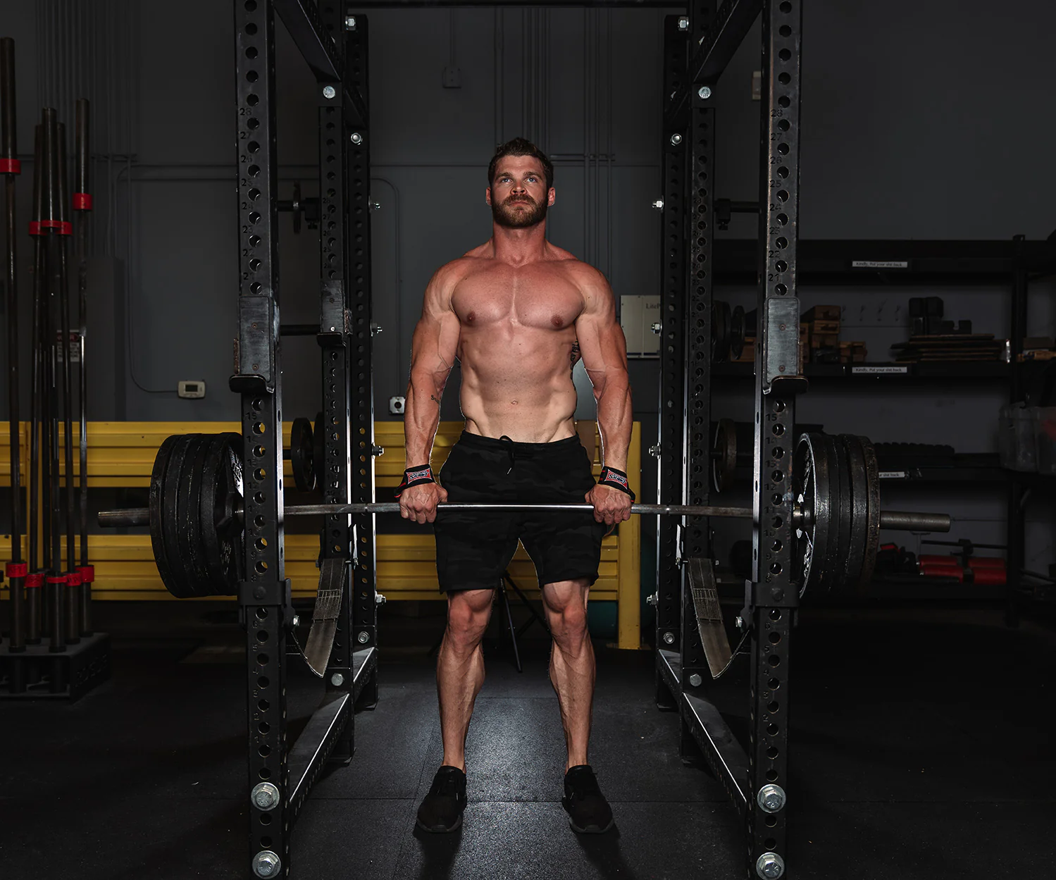 Super Heavy Duty Lifting Straps - Image 3